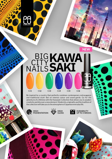 Palu-Kawasaki-EN-1920